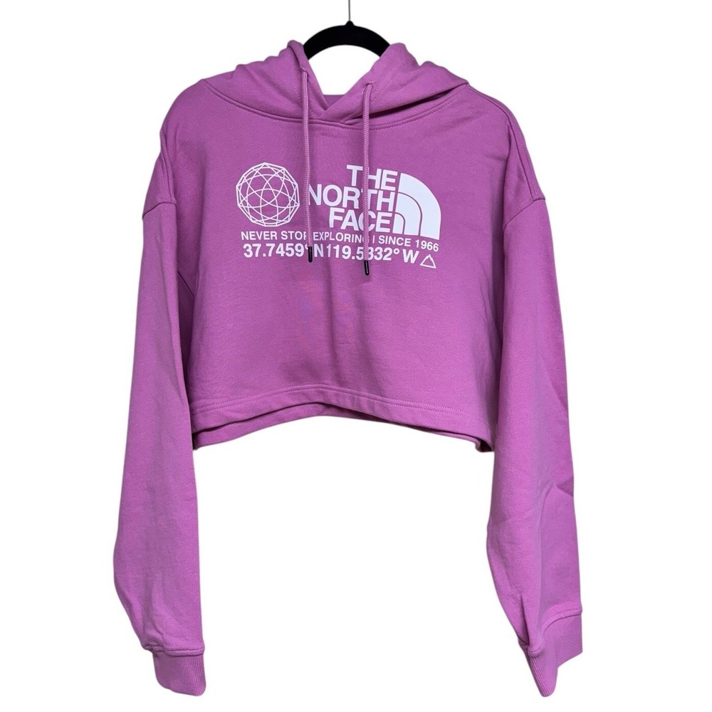 The North Face Coordinates Crop Drop Pullover Hoodie Sunset Mauve Women's XL
